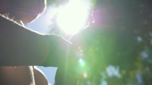 Boxers al aire libre - musculoso y la mujer envolviendo las manos con vendas para el entrenamiento en el día de verano — Vídeos de Stock