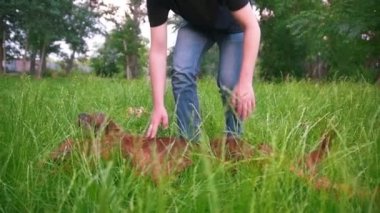 Genç adam onun köpek doğurmak kırmızı İrlandalı setter yaz parkta uzun saç temizler