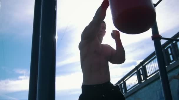 Hombre musculoso dedicado al boxeo con saco de boxeo en verano al aire libre — Vídeos de Stock