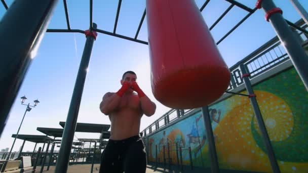 Hombre musculoso dedicado al boxeo con saco de boxeo en verano al aire libre, cámara lenta — Vídeos de Stock