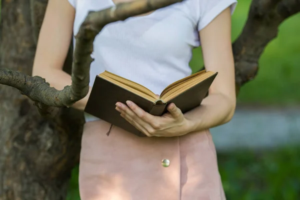 Mujer joven sosteniendo un libro en manos apoyadas en una rama de árbol — Foto de Stock