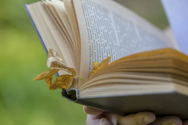 Jahrbuch mit Herbstblatt in weiblichen Händen im Freien — Stockfoto