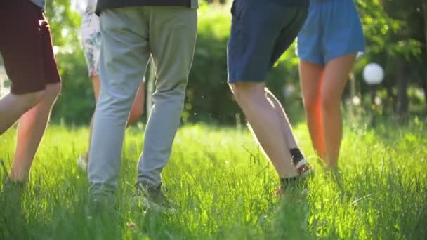 Piernas de jóvenes amigos bailando en la hierba en el día de verano — Vídeos de Stock