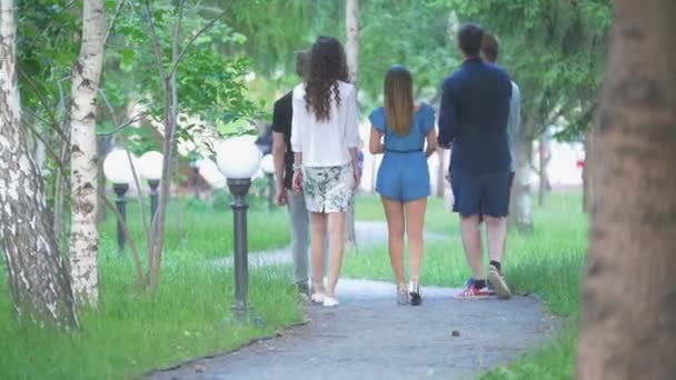 Achteraanzicht van jonge vrienden wandelen in het park van de zomer — Stockvideo