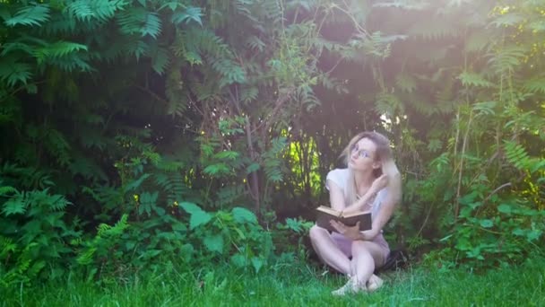 Mulher atraente hipster sentado debaixo de um arbusto e lendo um livro ao pôr do sol — Vídeo de Stock