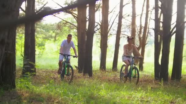 Pareja feliz en bicicleta en el camino en el bosque de pinos — Vídeos de Stock