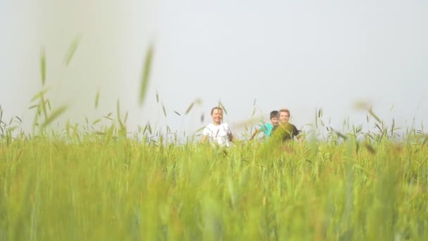 Šťastné děti pobíhají v letní pole — Stock video