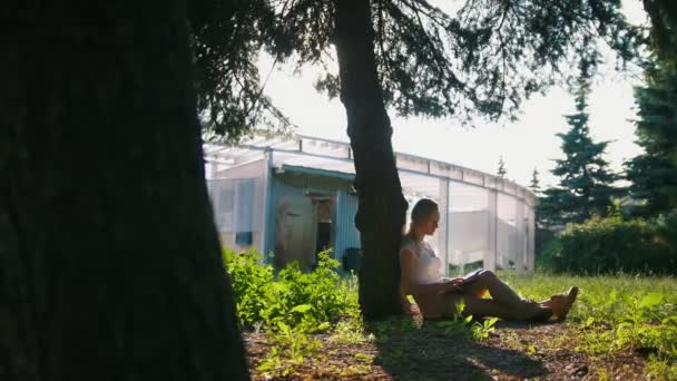 Jonge vrouw zittend onder de boom die het lezen van een boek in het stadspark bij zonsondergang — Stockvideo