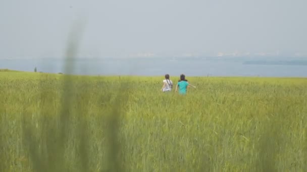 Niños felices huyendo en el prado de verano - vista trasera — Vídeos de Stock