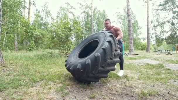 Jovem homem musculoso fazendo exercícios de exercício levantando uma enorme roda de borracha na floresta — Vídeo de Stock