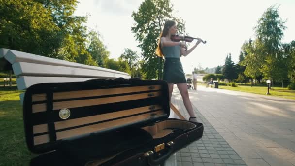 日没でバイオリンを果たしている女性の前でベンチに横になっているバイオリン用ケース — ストック動画