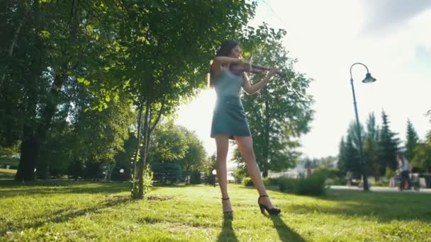 Mujer joven tocando un violín de pie en la hierba en el parque al atardecer — Vídeos de Stock