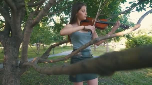 Młoda kobieta hipster gra skrzypce stojący wśród gałęzi drzew o zachodzie słońca — Wideo stockowe