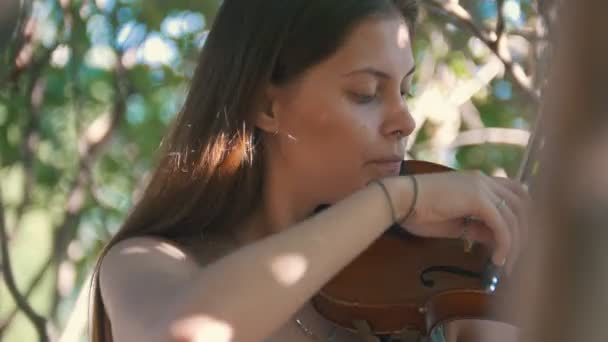 Portret van jonge vrouw hipster buiten een viool spelen op een zomerdag — Stockvideo