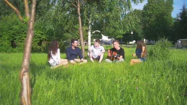 Jonge mensen buiten spelen met plezier in de zomer park — Stockvideo