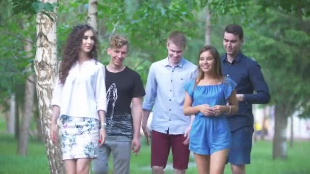 Cinco personas - jóvenes amigos caminando en el parque de verano — Vídeos de Stock