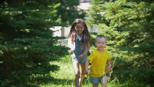 Little brother runs away from his sister in the park at sunny day — Stock Video