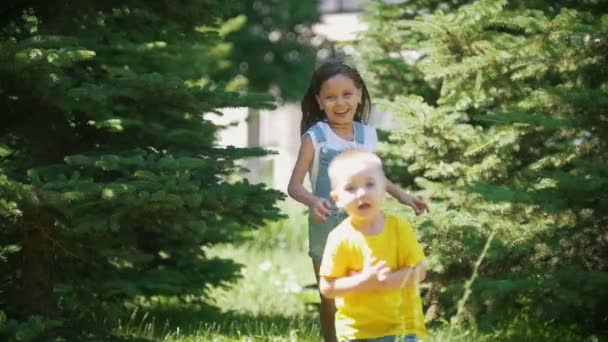 Menino bonito foge de sua irmã feliz através das árvores de abeto no dia ensolarado — Vídeo de Stock