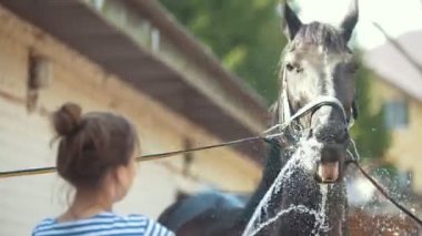 Genç kadın su istikrarlı siyah atlı