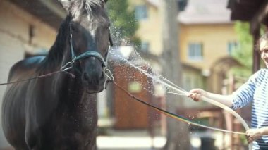 Siyah at açık havada su sıçramasına mutlu genç kadın