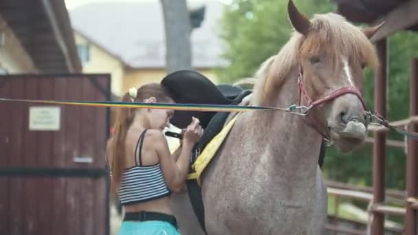 Aantrekkelijke vrouw trekt een zadel op een paard buiten bij zomer — Stockvideo