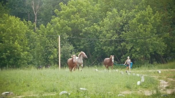 Vrouw draait op het veld met paarden — Stockvideo