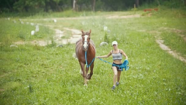 Vrouw draait op het veld met een paard — Stockvideo