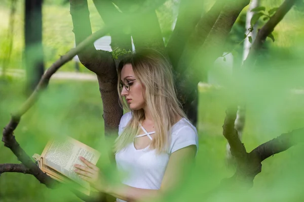 Bir kitap bir ağaç dalı eğilerek elinde tutan genç kadın — Stok fotoğraf