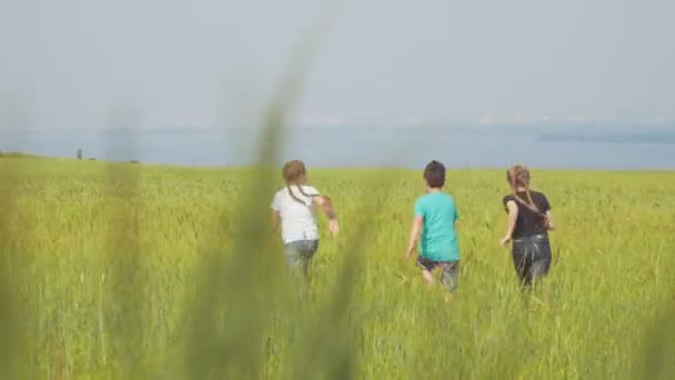 Τρία παιδιά χαρούμενα που διατρέχει το καλοκαίρι Λιβάδι - πίσω όψη — Αρχείο Βίντεο