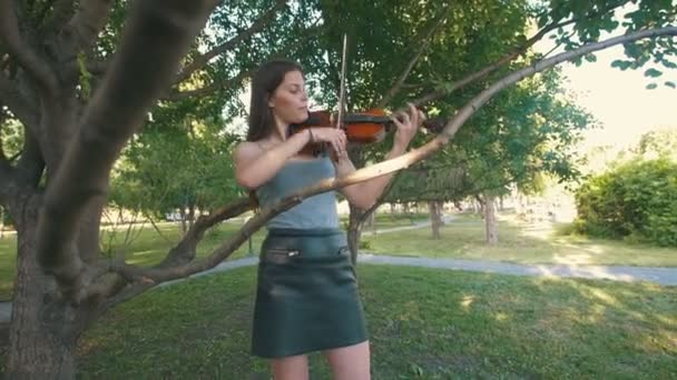 Молодая женщина играет на скрипке, стоя на траве в парке на закате — стоковое видео
