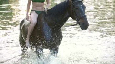 Genç kadın yaz gününde nehre siyah ata binmek mutlu