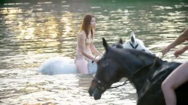 Twee aantrekkelijke vrouwen rijden op de paarden in de rivier bij zonsondergang — Stockvideo