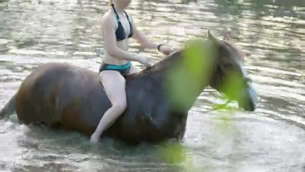 Lächelnde Kaukasierin reitet an Sommertagen auf dem Pferd im Fluss — Stockvideo