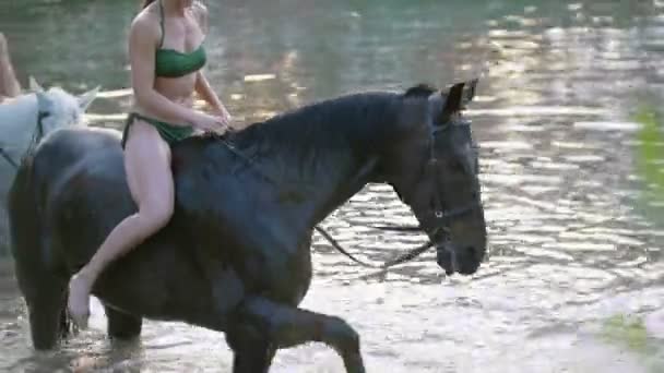 Attraktive Frau reitet an Sommertagen auf dem Pferd im Fluss — Stockvideo