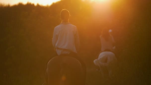 Hátulnézet a fiatal nők túrák lóháton az erdő felé, a naplemente — Stock videók