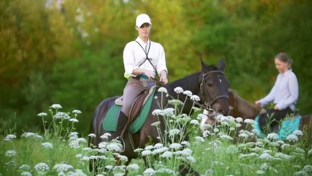 Junge Frauen reiten bei Sonnenuntergang hoch zu Ross durch das Feld — Stockvideo