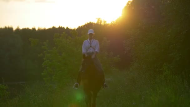 Mujer atractiva galopando en el caballo al aire libre al atardecer — Vídeo de stock