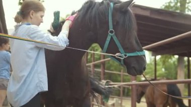 Genç kadın yıkar ve at yelesi kadar açık havada, yakın tarak