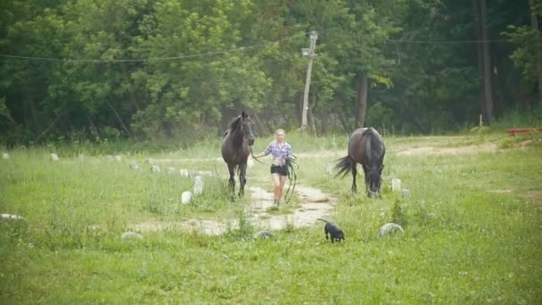 Vrouw draait op het veld met een paard — Stockvideo