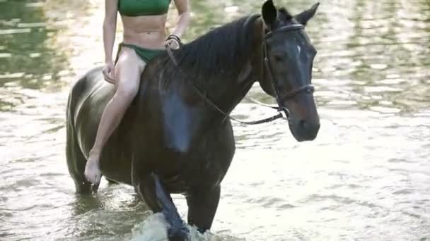 Young happy woman ride on black horse in the river at summer day — Stock Video