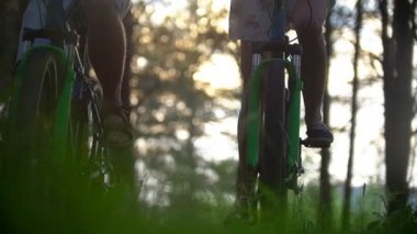 Genç adam ve kadın çam ormanda Bisiklete binme