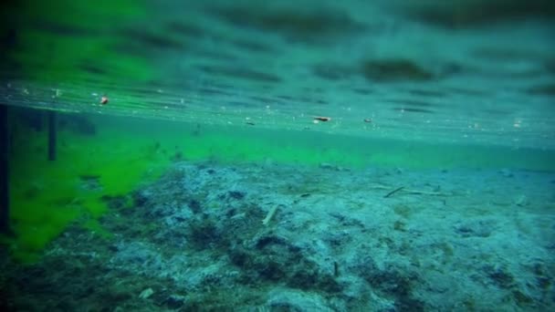 Mundo subaquático no lago azul claro — Vídeo de Stock