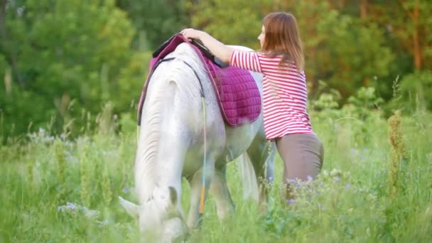 Giovane donna fissa la sella sul cavallo nel campo estivo — Video Stock