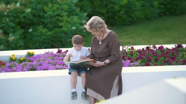 El nieto y la abuela leyeron un libro en el parque — Vídeo de stock