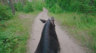 Onun yele orman yolu üzerinde yürüyen siyah at sallıyor
