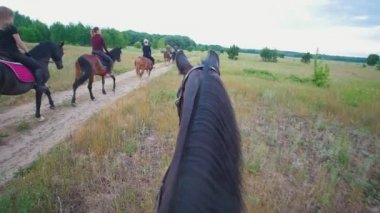 Kestane at binicilik alanında riders grubuna takip