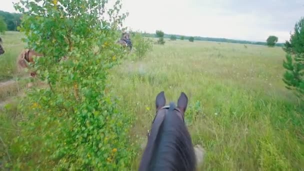 Il cavallo che cammina vicino al gruppo di cavalieri a cavallo sul campo — Video Stock