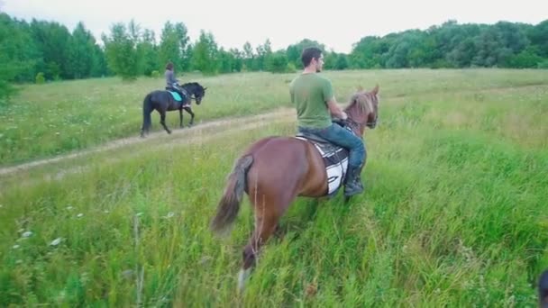 Cavaleiros cavalgando pelo campo no dia de verão — Vídeo de Stock