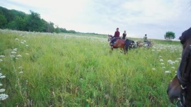 Binici at çayırda otlatma tarih önünde çim yeme at portresi