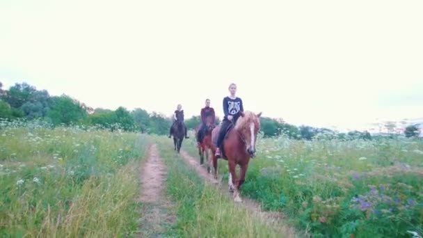 Три молодые женщины-всадницы на лошадях, проходящие по тропинке в летнем поле — стоковое видео